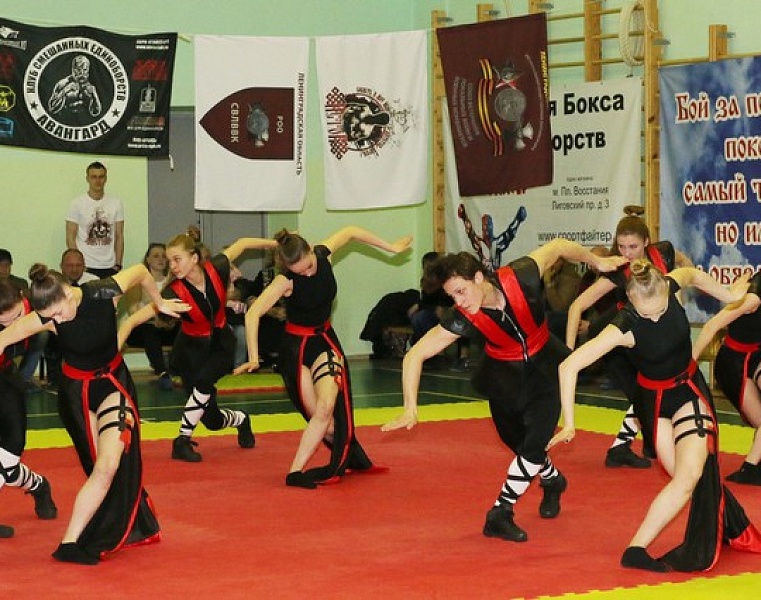 Фестиваль боевых искусств 